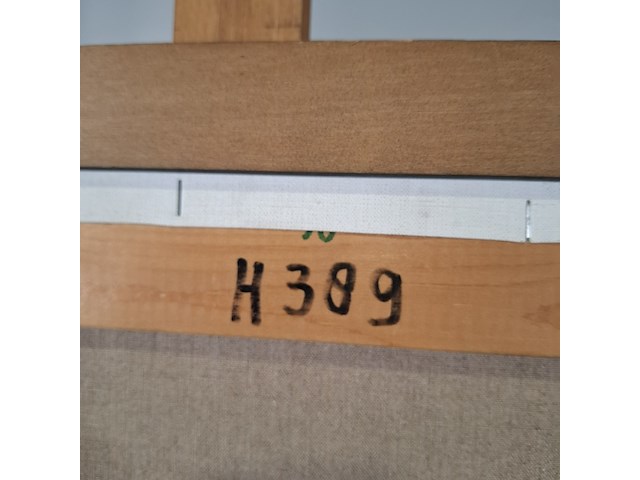 Acryl schilderij, maya wildevuur, vissen, 1996 - afbeelding 2 van  11