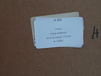 Acryl schilderij, maya wildevuur, vrouw, 1999 - afbeelding 8 van  8