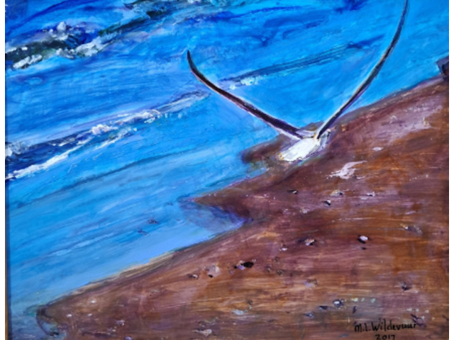 Acryl schilderij, maya wildevuur, zeemeeuw, 2017 - afbeelding 1 van  10