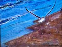 Acryl schilderij, maya wildevuur, zeemeeuw, 2017 - afbeelding 1 van  10