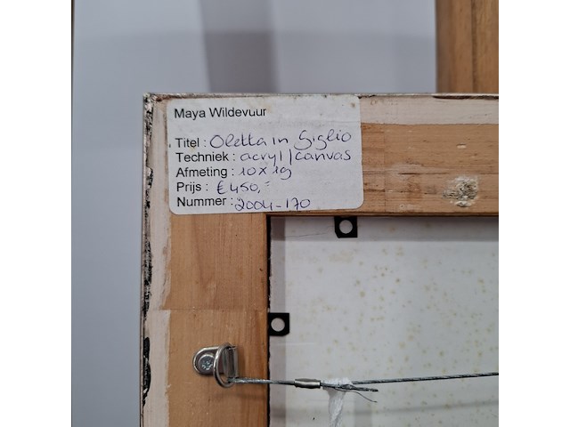 Acryl schilderij op canvas, maya wildevuur, 2004 - afbeelding 4 van  13