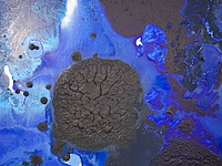 Acryl schilderij op doek, maya wildevuur, compositie blauw, 1993 - afbeelding 4 van  9