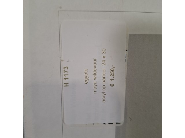 Acryl schilderij op paneel, maya wildevuur, egypte - afbeelding 7 van  8