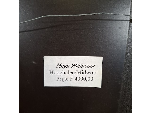 Acryl schilderij op paneel, maya wildevuur, hooghalen/midwold, 1997 - afbeelding 3 van  11