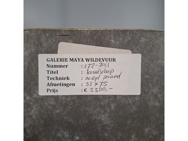 Acryl schilderij op paneel, maya wildevuur, landschap, 1997 - afbeelding 9 van  9