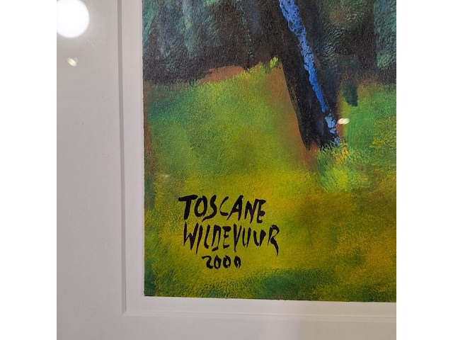 Acryl schilderij op papier, maya wildevuur, toscane, 2000 - afbeelding 5 van  8