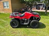 Actric cat textron 400 quad - afbeelding 11 van  15