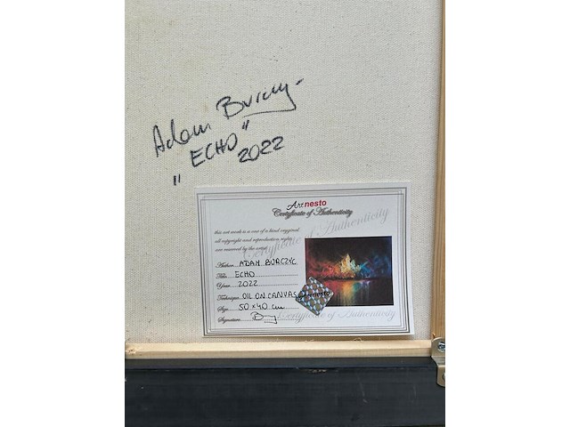 Adam burczyc (1982- ) "echo" - afbeelding 2 van  10