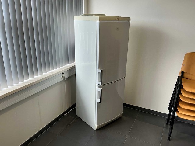 Aeg santo (40270kg) koelvriescombinatie - afbeelding 2 van  8