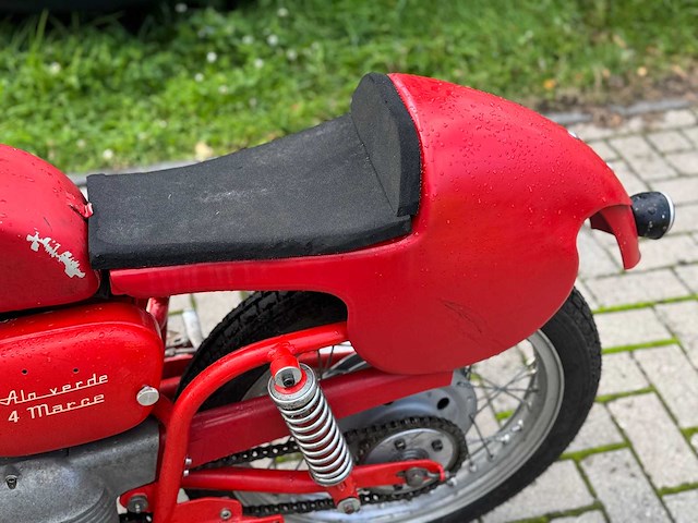 Aermacchi ala verde - afbeelding 4 van  14