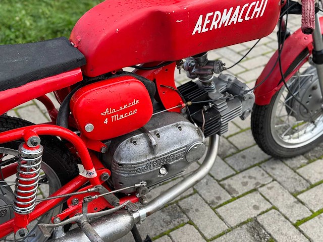 Aermacchi ala verde - afbeelding 5 van  14
