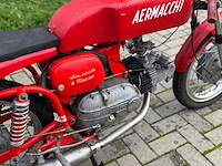 Aermacchi ala verde - afbeelding 5 van  14