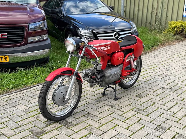 Aermacchi ala verde - afbeelding 1 van  14