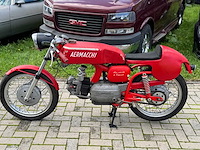 Aermacchi ala verde - afbeelding 7 van  14