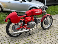 Aermacchi ala verde - afbeelding 10 van  14