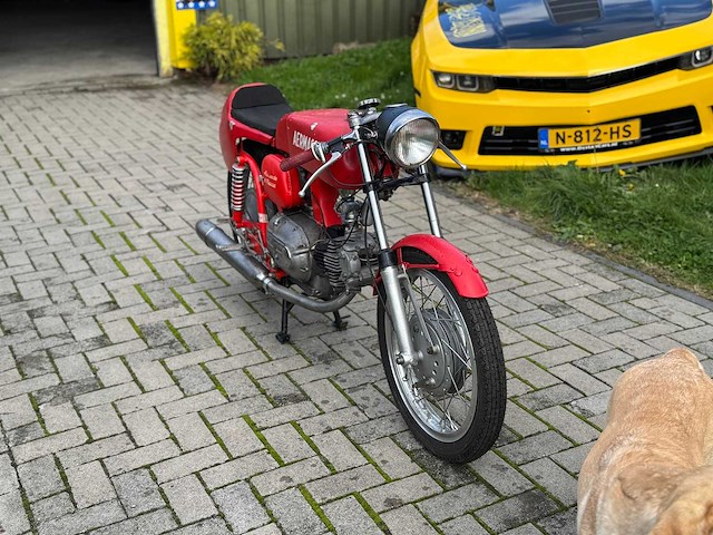 Aermacchi ala verde - afbeelding 12 van  14