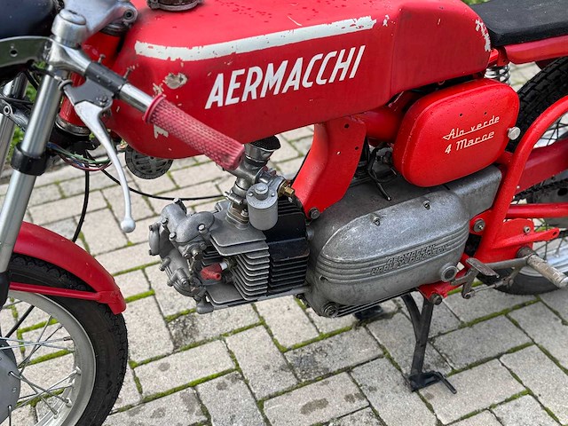 Aermacchi ala verde - afbeelding 14 van  14