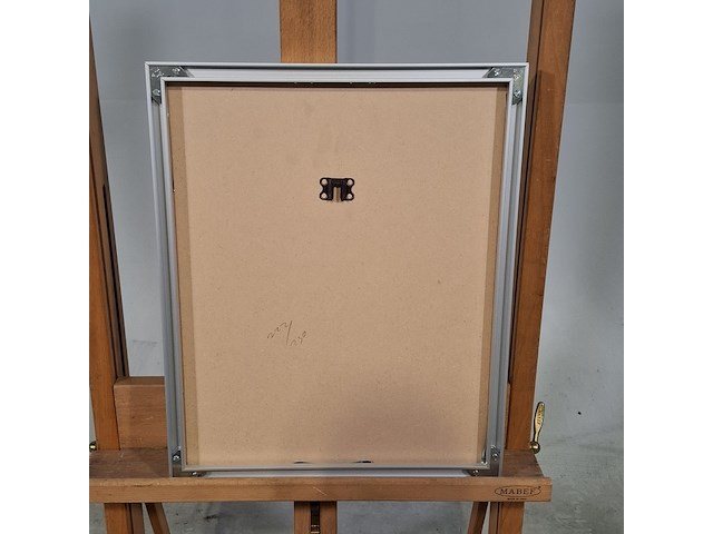 Afbeelding in lijst, 222/250 - afbeelding 7 van  7