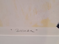 Afbeelding in lijst, a. vogees, baraka - afbeelding 5 van  8