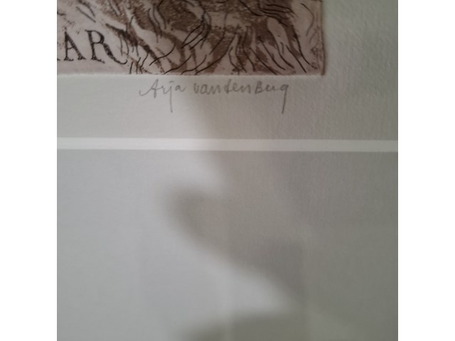 Afbeelding in lijst, arja van den berg, gijs 16/20 - afbeelding 6 van  8