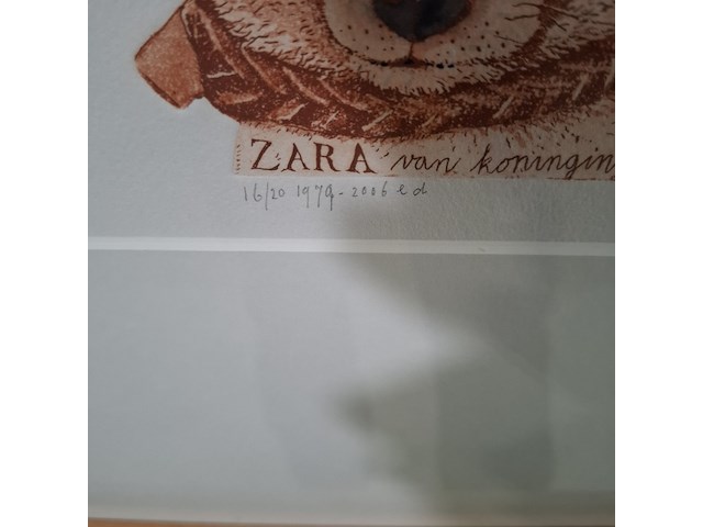 Afbeelding in lijst, arja van den berg, zara 16/20 - afbeelding 7 van  7