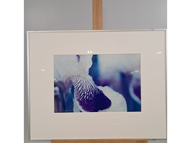 Afbeelding in lijst, cora koning, iris 1/5, 2004 - afbeelding 1 van  7