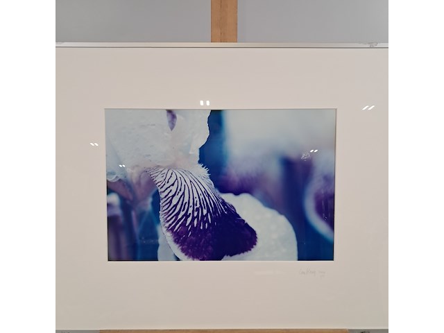 Afbeelding in lijst, cora koning, iris 1/5, 2004 - afbeelding 2 van  7