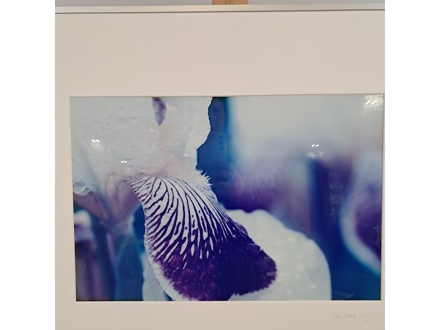 Afbeelding in lijst, cora koning, iris 1/5, 2004 - afbeelding 3 van  7