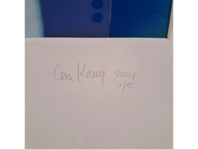 Afbeelding in lijst, cora koning, iris 1/5, 2004 - afbeelding 4 van  7