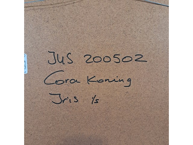 Afbeelding in lijst, cora koning, iris 1/5, 2004 - afbeelding 7 van  7