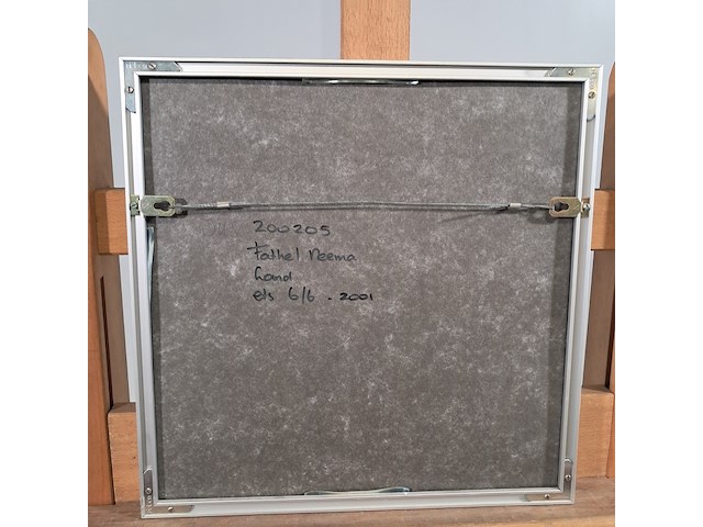 Afbeelding in lijst, fathel neema, land 6/6, 2001 - afbeelding 8 van  9