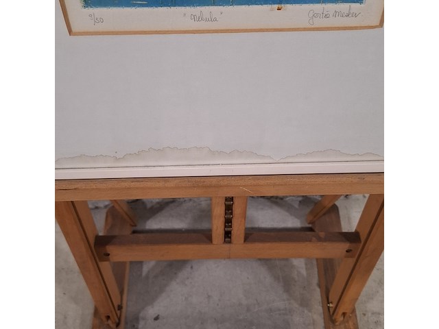 Afbeelding in lijst, gertie mesker, nebula 3/50 - afbeelding 9 van  9