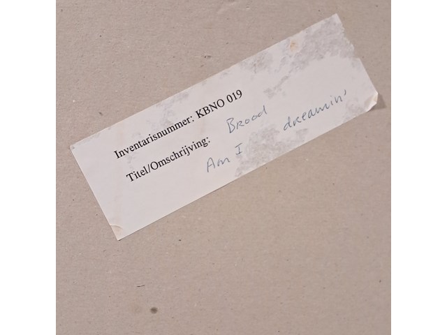 Afbeelding in lijst, herman brood, am i only dreaming - afbeelding 6 van  7