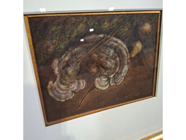 Afbeelding in lijst, h.j. van wijk, boomzwammen - afbeelding 2 van  6