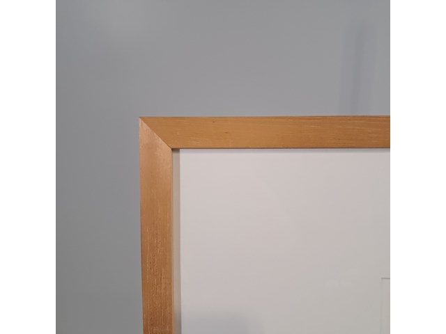 Afbeelding in lijst, maria karthaus, de paardvrouwen en het simpele draadje - afbeelding 6 van  8