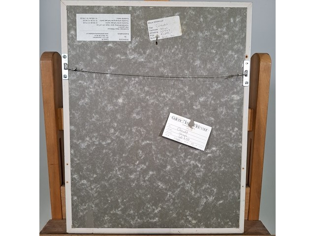 Afbeelding in lijst, maya wildevuur, gezicht - afbeelding 7 van  8