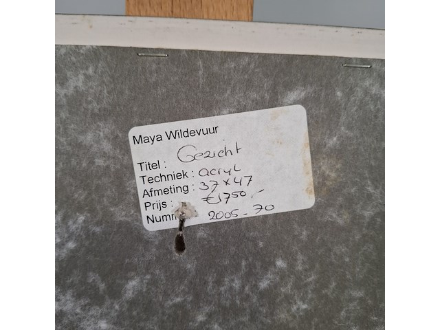 Afbeelding in lijst, maya wildevuur, gezicht - afbeelding 8 van  8