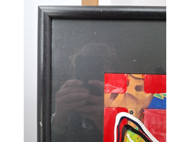 Afbeelding in lijst, maya wildevuur, vis klein 5, 1996 - afbeelding 10 van  11