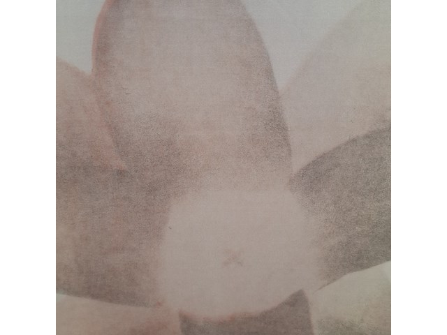 Afbeelding in lijst, r. m. muller, 1990 - afbeelding 5 van  6