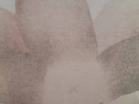 Afbeelding in lijst, r. m. muller, 1990 - afbeelding 5 van  6