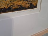 Afbeelding in lijst, ron beumer, tharon plage ii 6/20, 2002 - afbeelding 2 van  6
