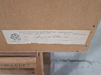 Afbeelding in lijst, sonja van es, springende kikker 9/25, 1976 - afbeelding 2 van  10