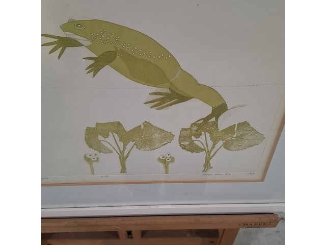 Afbeelding in lijst, sonja van es, springende kikker 9/25, 1976 - afbeelding 5 van  10