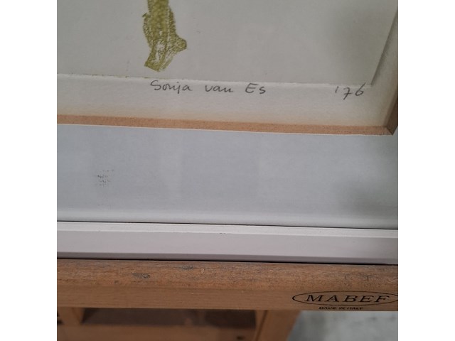 Afbeelding in lijst, sonja van es, springende kikker 9/25, 1976 - afbeelding 6 van  10