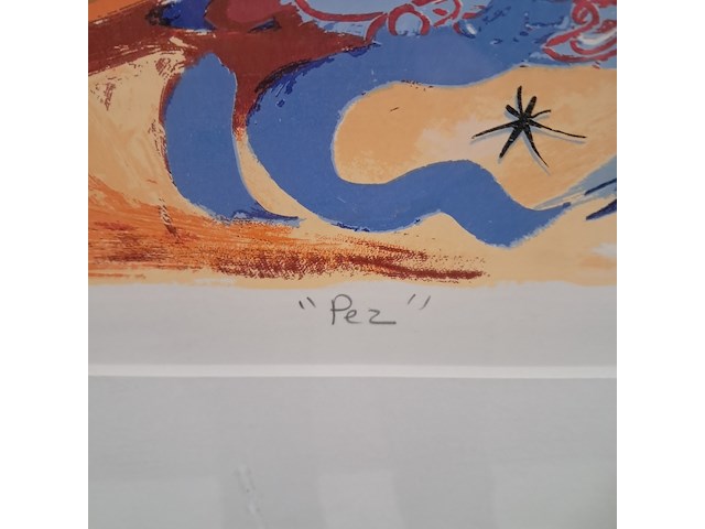 Afbeelding in lijst, ulises nilo , pez 48/100 - afbeelding 5 van  8