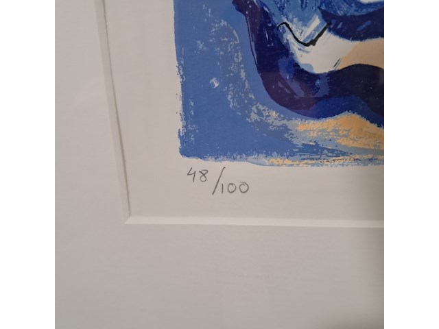 Afbeelding in lijst, ulises nilo , pez 48/100 - afbeelding 6 van  8