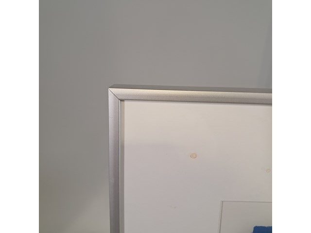 Afbeelding in lijst, ulises nilo , pez 48/100 - afbeelding 7 van  8