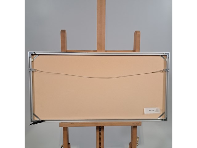 Afbeelding in lijst, ulises nilo , pez 48/100 - afbeelding 8 van  8