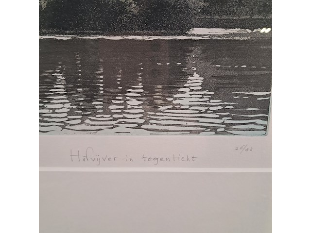 Afbeelding in lijst, wim bettenhausen, hofvijver in tegenlicht 26/42, 1995 - afbeelding 7 van  8