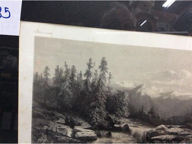 Afdruk: calamé - afbeelding 2 van  3